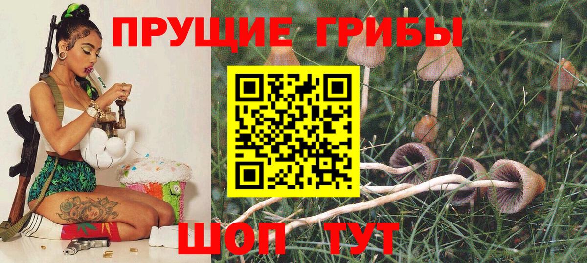Ейск  купить  сайты  Вход с VPN  Псилоцибиновые грибы прущие грибы 