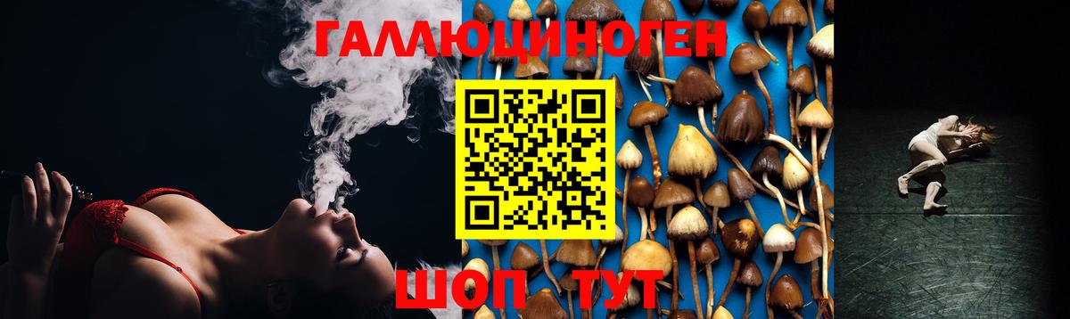 Псилоцибиновые грибы ЛСД Ейск